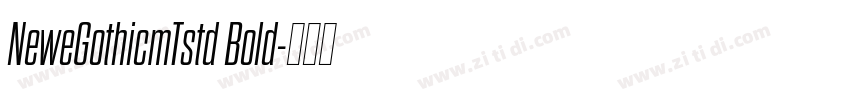 NeweGothicmTstd Bold字体转换